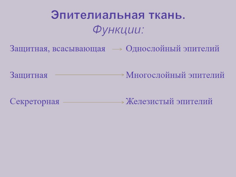 Эпителиальная ткань. Функции: Защитная, всасывающая  Защитная    Секреторная  Однослойный эпителий